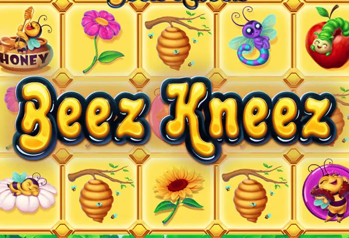 Dexsport Casino Zahlungsmethoden Übersicht